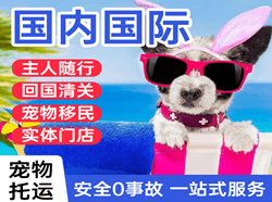 伊春机场快运国际宠物托运 【国